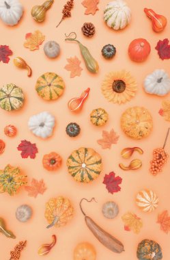 Beyaz arka plan üzerinde pumpkins ile desen yaprak. Düz yatıyordu.