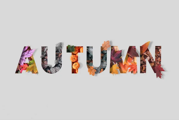 Word Autumn Colorful Leaves Letters Dry Maple Leaves Isolated White — Stock Photo, Image