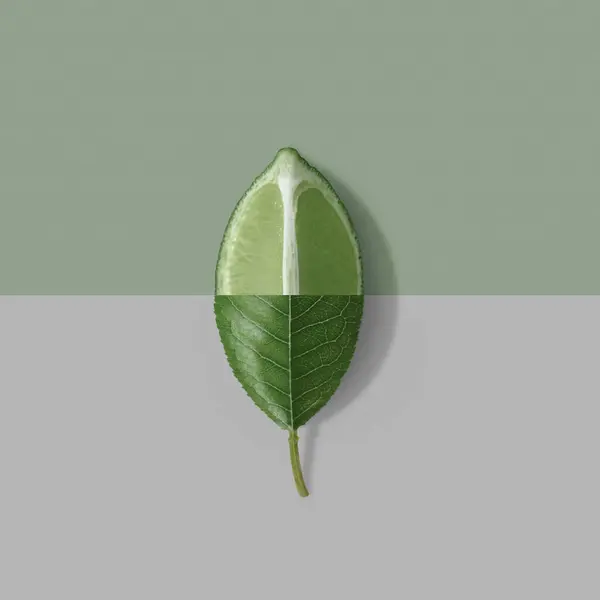 创意最小的自然概念与绿叶和石灰片 夏季水果背景 分工合作 平铺社会模型与复制空间 — 图库照片