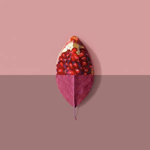 Creative Minimal nature concept with purple leaf and pomegranate slice. Summer fruit background. Split composicion, Flat lay social mockup with copy space.