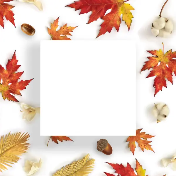 Sonbahar yapraklarından yapılmış ve kağıt kart notlu yaratıcı bir düzen. Düz yatıyordu. Doğa konsepti.