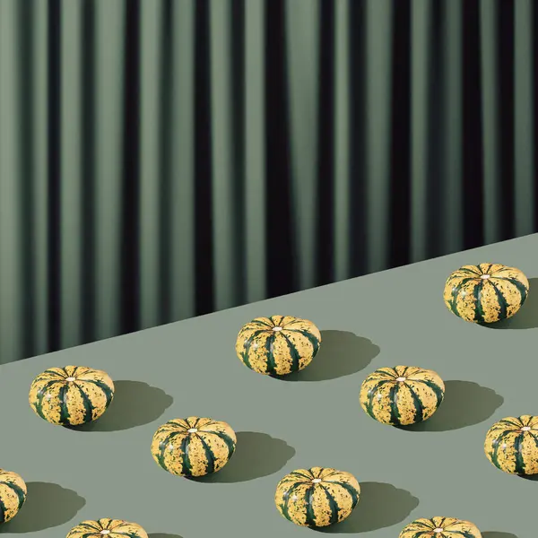 カボチャとハードシャドウとの概念的な配置 秋のホリデーテーマ グリーンカーテンとパステルグリーンの背景に関する創造的なコンセプト 秋の色について 現代美学 — ストック写真
