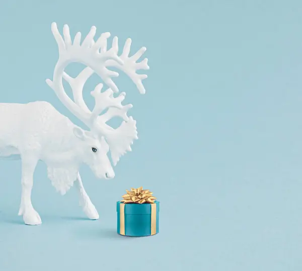 Concept Noël Créatif Fait Avec Des Rennes Blancs Avec Boîte — Photo