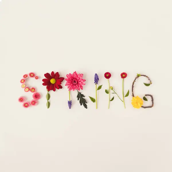 Parlak bir arka planda rengarenk çiçeklerden oluşan bir bahar. Bahar ya da yaz konsepti. Düz yatıyordu