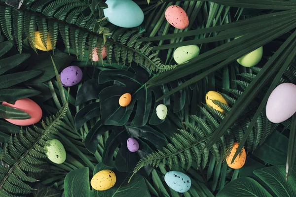 Tvůrčí Velikonoční Příroda Pozadí Zelené Tropické Palmové Listy Velikonočními Vejci — Stock fotografie