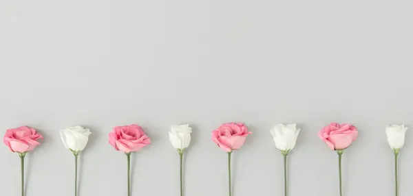 Kreative Komposition Aus Rosa Und Weißen Rosenblüten Und Blättern Flowerscape — Stockfoto