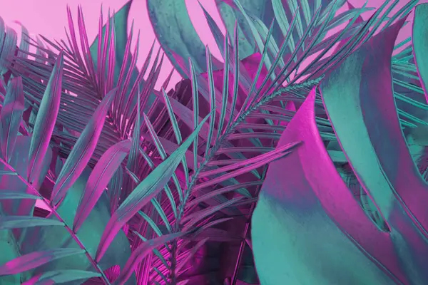 Trendy composition made with of tropical and palm leaves in vibrant bold gradient holographic neon colors. Creative art, minimal aesthetics, surrealism background.