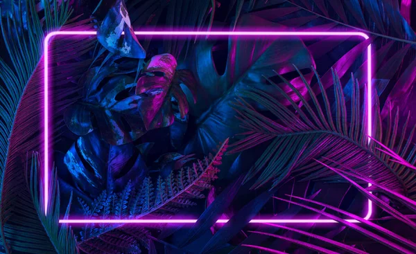 Tropikal orman yapraklarından yapılmış floresan renk düzeninden oluşan modaya uygun bir kompozisyon. Düz neon renkler uzanıyordu. Doğa konsepti. Yaratıcı sanat, asgari estetik.