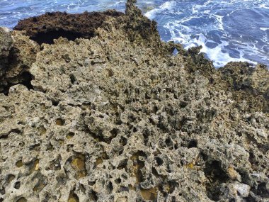 Kıyıdaki mercan resifleri, kıyıda mercan resifleri olan sahilin manzarası..