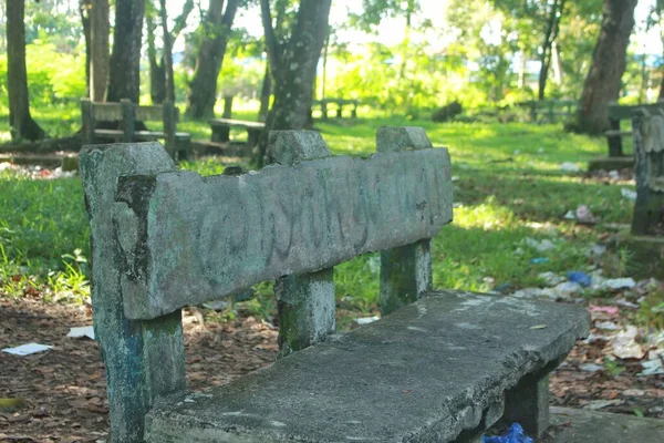 Cementowe Krzesła Ogrodowe Dla Gości Parku Którzy Chcą Usiąść Zielonym — Zdjęcie stockowe
