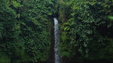 Dağlardan dökülen şelale pınarları. Etrafında hala güzel yeşil ağaçlar var.