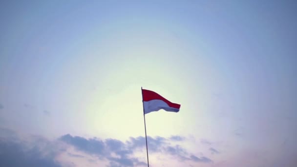 赤と白の旗 インドネシアの国旗はきれいな白い空の背景に対して揺れています 赤と白の旗はインドネシアの独立を歓迎します — ストック動画