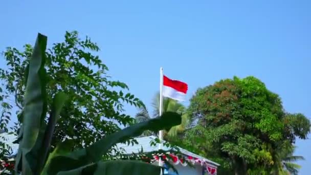 インドネシアの国旗 赤と白の旗は 緑豊かな木の背景に対して風に揺れています — ストック動画