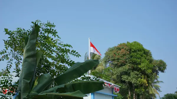 印度尼西亚国旗 红白相间的国旗在风中飘扬 周围环绕着茂密的树木和蓝天 — 图库照片