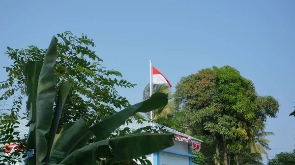 Indonesische Nationalflagge Rot Weiße Flagge Flattert Wind Umgeben Von Üppigen — Stockfoto