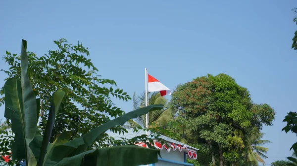 Indonéská Národní Vlajka Červená Bílá Vlajka Vlající Větru Obklopená Svěžími — Stock fotografie