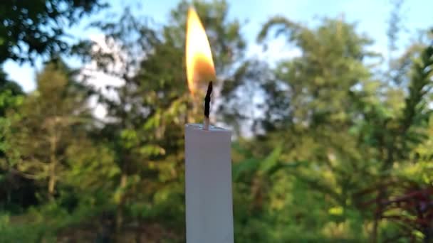Eine Einzige Weiße Kerze Brennt Isoliertes Kerzenbrennen Mit Natürlichem Hintergrund — Stockvideo