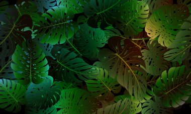 Tropikal yapraklarla kusursuz desen. Gerçekçi botanik illüstrasyon çiçekli koyu arkaplan.