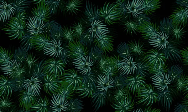 Tropikal yapraklar pürüzsüz. Karanlık arka plan. egzotik tropik arkaplan.