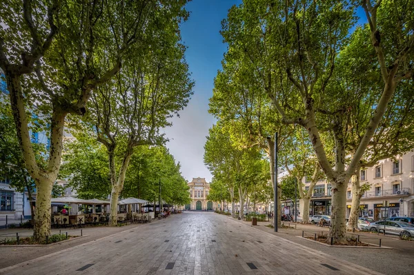 Allees Paul Riquet Tree Lined Boulevard Centre Beziers Languedoc Region — Stock Photo, Image