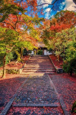Japonya, Kyoto 'daki Anrakuji Tapınağı' nın ana kapısına giden merdivenler sonbahar renklerinin doruk noktasında..