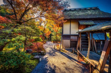 Manzaralı bir taş patika Japonya 'nın Kyoto kentindeki tapınak alanındaki bir binaya açılıyor.
