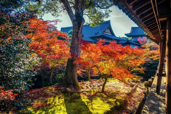 Tofukuji tapınağı, Kyoto, Japonya. Sonbahar yapraklarıyla ünlüdür.