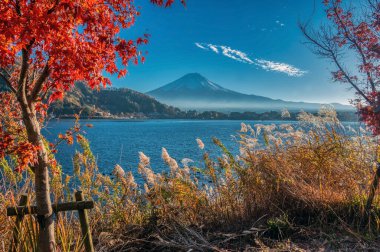 Öğleden sonra Kawaguchi Gölü 'nde Fuji Dağı' yla birlikte. Sonbaharda Yamanashi ilinin Fuji 5 göl bölgesi