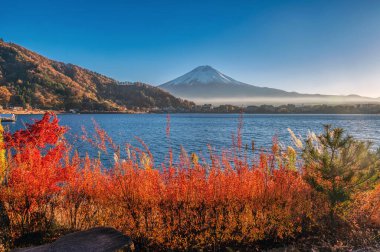Öğleden sonra Kawaguchi Gölü 'nde Fuji Dağı' yla birlikte. Sonbaharda Yamanashi ilinin Fuji 5 göl bölgesi