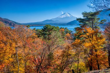 Fuji Dağı yakınlarındaki Yamanashi ilinin Fuji 5 göl bölgesinde sonbahar yaprakları. Burası Motosu Gölü.