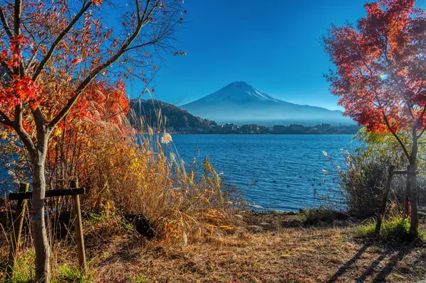 Fuji Dağı yakınlarındaki Yamanashi ilinin Fuji 5 göl bölgesinde sonbahar yaprakları. Kawaguchi gölünde.