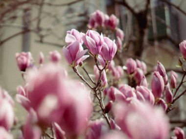 Paslı çiviler ve mavi arkaplan