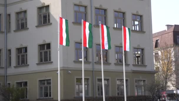 Węgierskie Flagi Mieście — Wideo stockowe