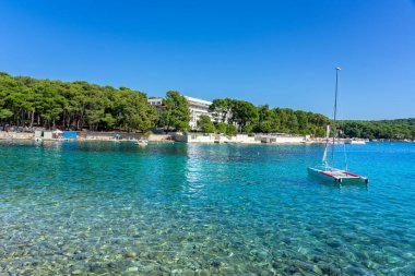 Ağaçları ve mavi denizi olan Cikat Orman Parkı plajı .
