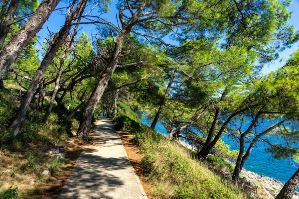 Passeio Praia Parque Florestal Cikat Com Árvores Mar Azul — Fotografia de Stock