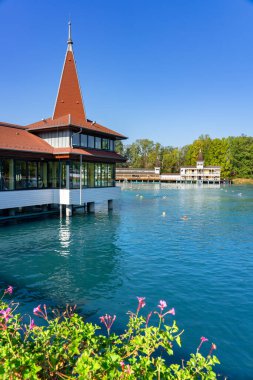 Macaristan 'da ünlü Heviz balneal termal banyo kaplıcaları çiçeklerle doludur. .
