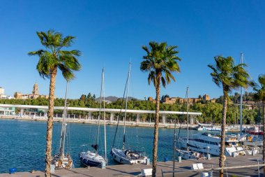 Katedral ve Alcazaba arka planına ve palmiye ağaçlarına sahip port malaga