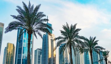 Dubai gökdeleni gökdelenle kaplı palmiye ağaçları mavi gökyüzü ve metin için boşluk