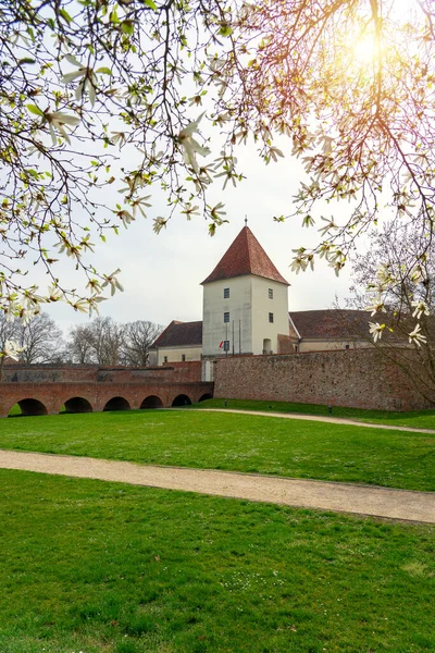 ハンガリーのサルヴァール城の隣に咲く木の春の時間 — ストック写真