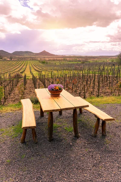 Aziz George Tepesi 'nde, Balaton Gölü' nün yanında, ahşap masa yayı olan bir üzüm bağı. .