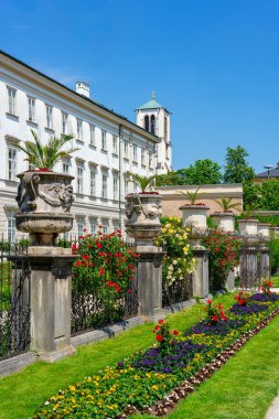 Salzburg Avusturya 'daki güzel Mirabell sarayında gül bahçesi ve heykelleri var. ,