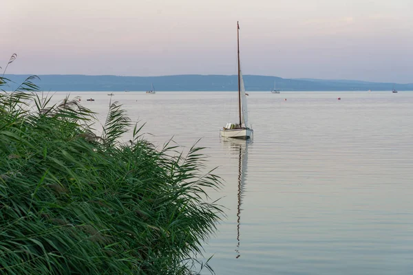 Velejando Navio Lago Balaton Costa Com Cana Verão — Fotografia de Stock