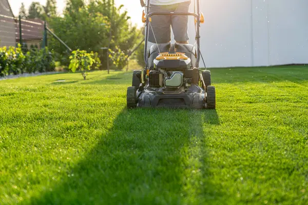 stock image green grass cutting with lawn mower in home garden .