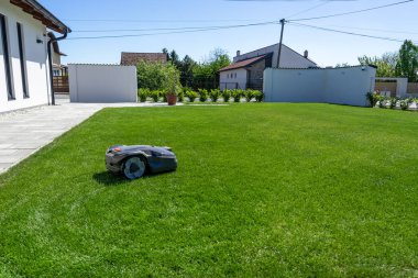 Güzel yeşil çimlerin üzerinde çalışan robot biçme makinesi..