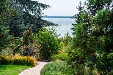 Balaton Gölü üzerinde muhteşem manzaralı çam ağaçları olan güzel bir bahçe. .