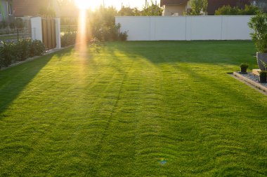 Yeşil çimenler ve güneş ışınlarıyla dolu ev bahçesi .