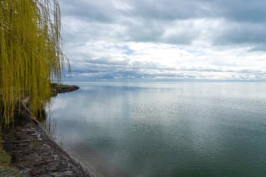 Balatonvilagos Macaristan 'daki Balaton Gölü' nün söğüt ağacıyla yansıması .