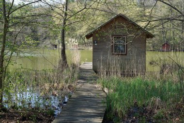 Hungary 'de szajk balıkçı gölleri ve su üzerinde balıkçı kulübeleri. .