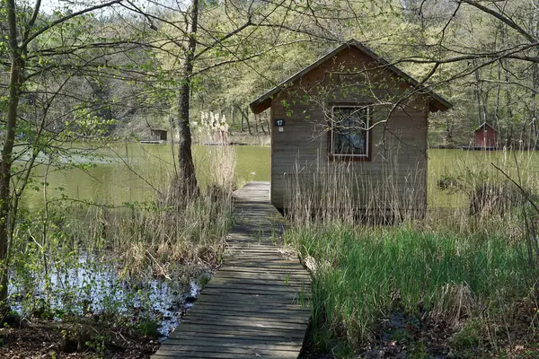 Hungary 'de szajk balıkçı gölleri ve su üzerinde balıkçı kulübeleri. .