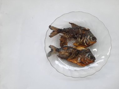 Kızarmış pomfret (Colossomam makropomum) beyaz arka planda üst tabakta. ızgara balık arka planı, yemek, diyet, kahvaltı, öğle yemeği, akşam yemeği, mutfak, sağlıklı yemek, yemek tarifi, yemek